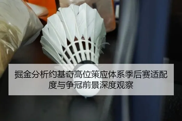掘金分析约基奇高位策应体系季后赛适配度与争冠前景深度观察
